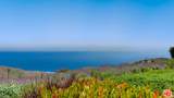 2900 Corral Canyon Rd - Photo 48