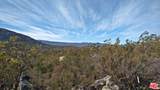 51919 Tule Peak Rd - Photo 35