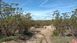 51919 Tule Peak Rd - Photo 37