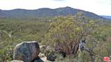 51919 Tule Peak Rd - Photo 40