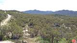 51919 Tule Peak Rd - Photo 41