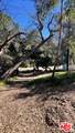 3485 Old Topanga Canyon Rd - Photo 10