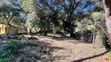 3485 Old Topanga Canyon Rd - Photo 11