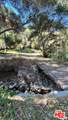 3485 Old Topanga Canyon Rd - Photo 13