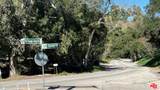 3485 Old Topanga Canyon Rd - Photo 15