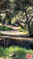 3485 Old Topanga Canyon Rd - Photo 16