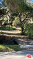 3485 Old Topanga Canyon Rd - Photo 17
