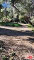 3485 Old Topanga Canyon Rd - Photo 3