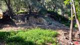 3485 Old Topanga Canyon Rd - Photo 6