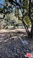 3485 Old Topanga Canyon Rd - Photo 9