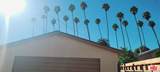4716 Van Ness Ave - Photo 48