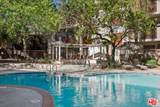 20234 Cantara St - Photo 14