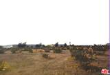 0 Cottonwood - Photo 7