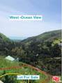 4027 Latigo Cyn - Photo 2