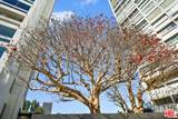 2222 Avenue Of The Stars - Photo 24