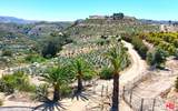 0 El Calamar - Photo 10