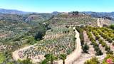 0 El Calamar - Photo 9