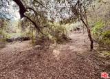 0 Red Rock Rd - Photo 51