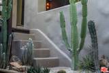 769 Bonita Dr - Photo 40