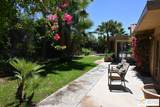 552 Orchid Tree Ln - Photo 1