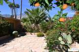 552 Orchid Tree Ln - Photo 7