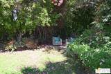 552 Orchid Tree Ln - Photo 8