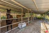 28132 Oak Spring Canyon Rd - Photo 4
