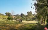 28926 Boniface Dr - Photo 8