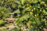 6138 Ramirez Canyon Rd - Photo 28