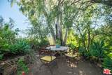 34229 Mulholland Hwy - Photo 5