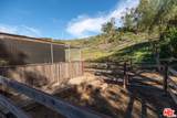 34229 Mulholland Hwy - Photo 7