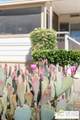 55524 Yucca Trail - Photo 38