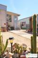 55524 Yucca Trail - Photo 44