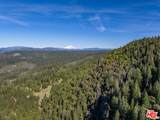 20441 Cove Rd - Photo 11