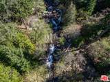 20441 Cove Rd - Photo 16
