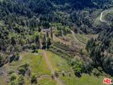 20441 Cove Rd - Photo 19