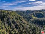 20441 Cove Rd - Photo 29