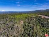 20441 Cove Rd - Photo 31