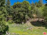 20441 Cove Rd - Photo 39
