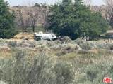 0 Vic Harold Cedar  Ash - Photo 11
