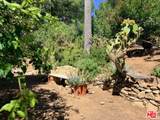 3800 Latigo Canyon Rd - Photo 44