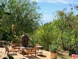 3800 Latigo Canyon Rd - Photo 45