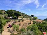 3800 Latigo Canyon Rd - Photo 56