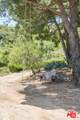 3800 Latigo Canyon Rd - Photo 61