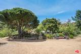 3800 Latigo Canyon Rd - Photo 62