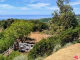 3800 Latigo Canyon Rd - Photo 66