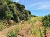 3800 Latigo Canyon Rd - Photo 70