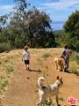 3800 Latigo Canyon Rd - Photo 71