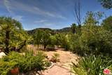 24926 Jim Bridger Rd - Photo 22