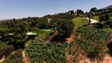 16401 Mulholland Dr - Photo 13